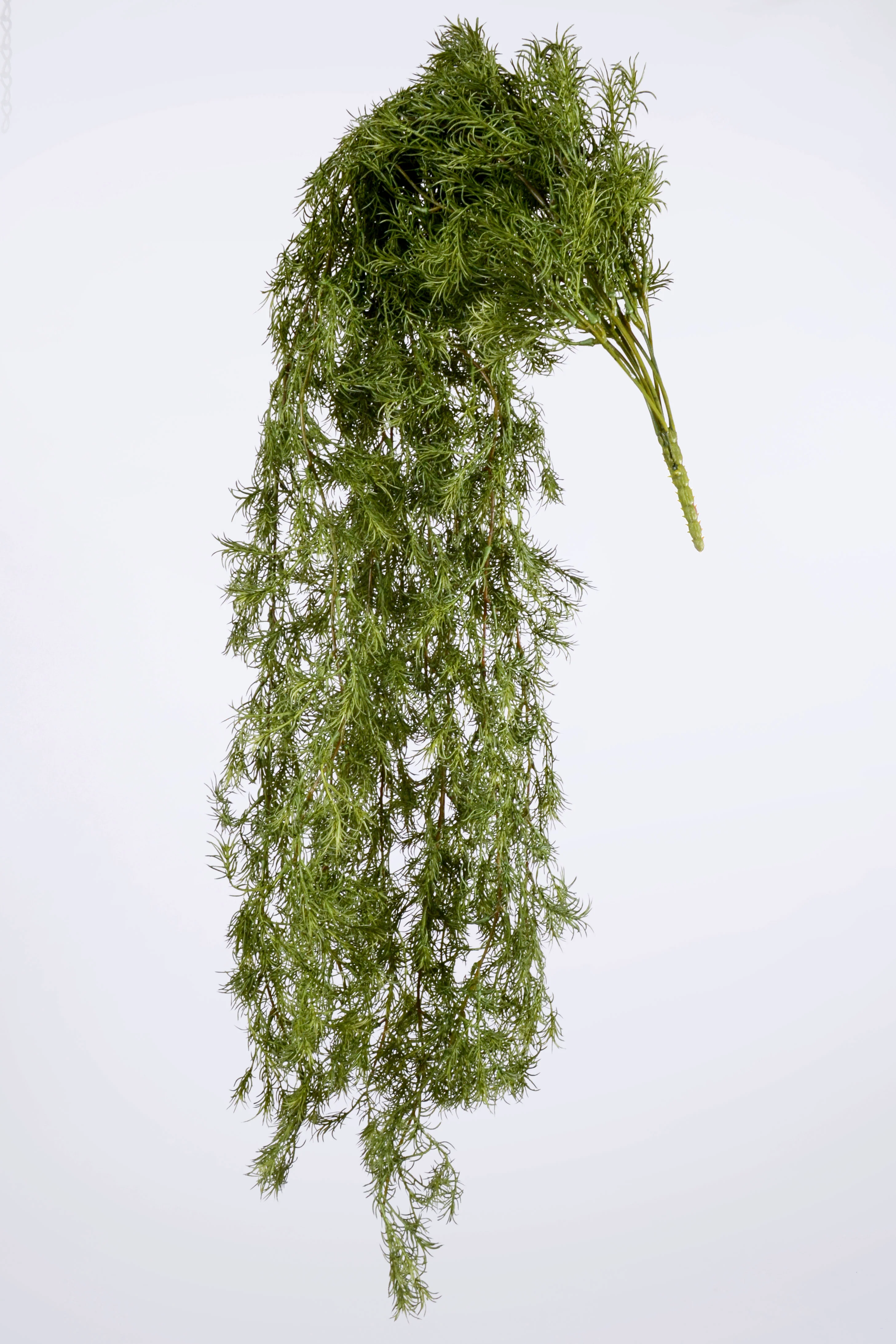 46" Hanging  Springer Vine Green - Image 2
