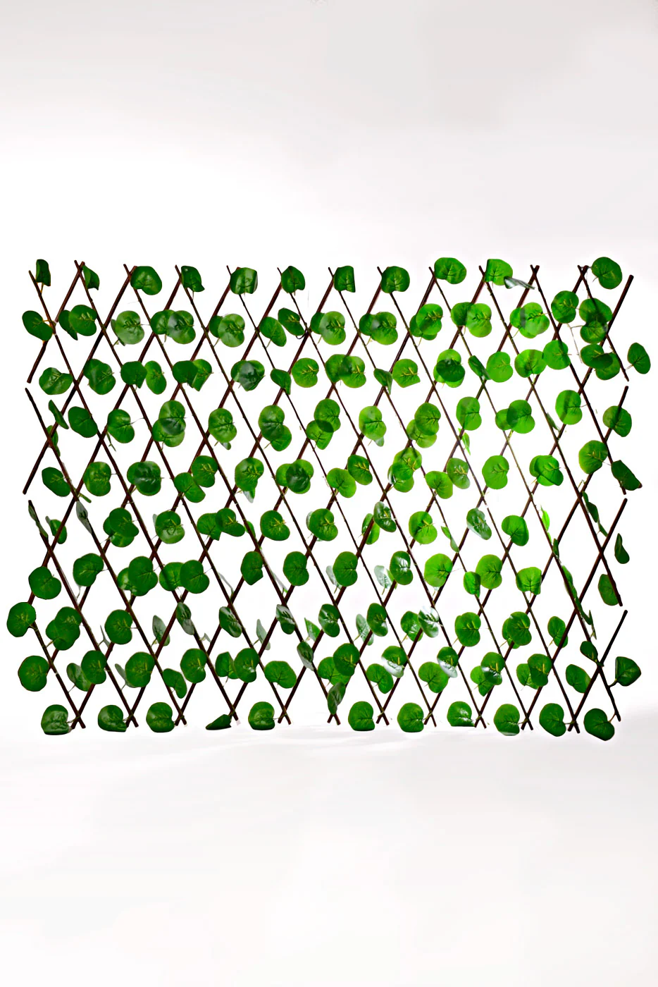 47.5'' Stretchable Fence Screen Aralia Leaf Green