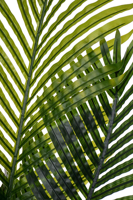 47" Areca Palm Tree In Plastic Pot Green - Image 2