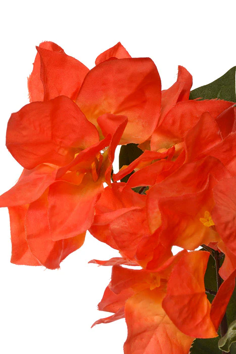 47" Silk Bougainvillea Spray Orange - Image 2