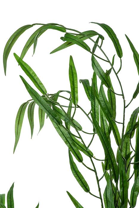 47" Weeping Willow Green - Image 2