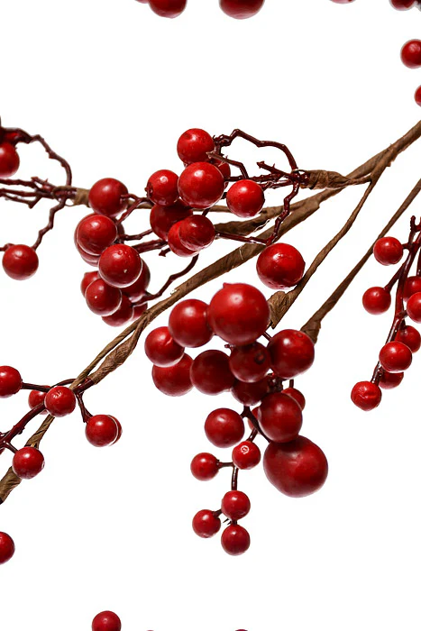 48" Waterproof Mixed Berry Garland Red - Image 2