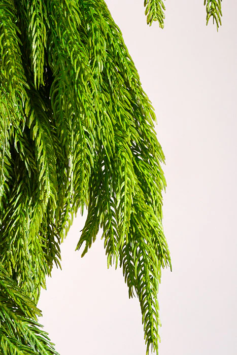48" x 16" Artificial Natural Touch Norfolk Pine Garland Green - Image 2