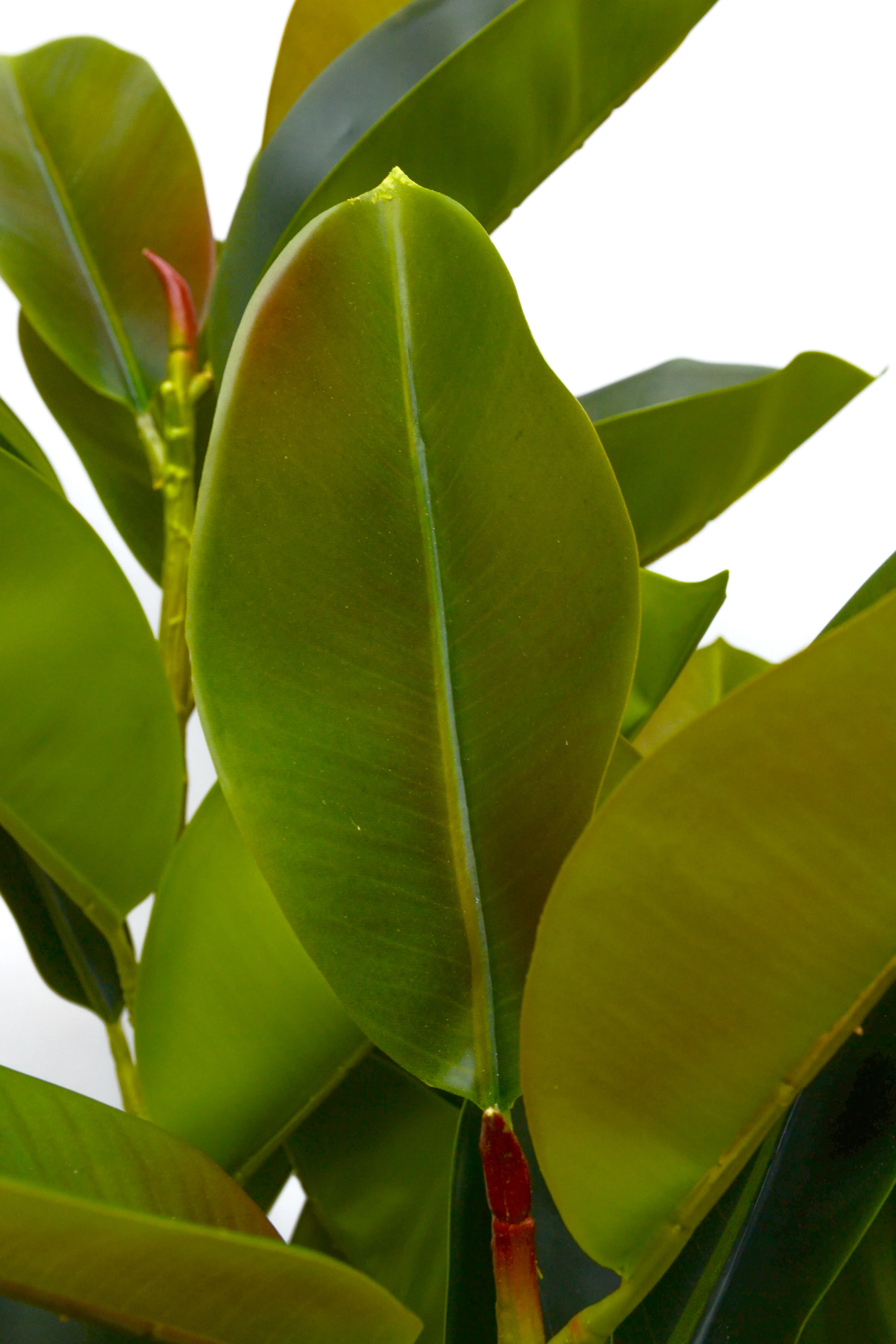 4ft 4in Artificial Rubber Leaf Tree Green - Image 2