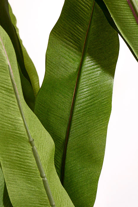 4Ft Artificial Bird's Nest Fern Tree In Pot Green - Image 2