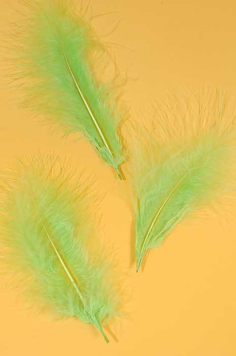 5" - 7" Ostrich Feather Apple Green Pkg/50 - Image 2
