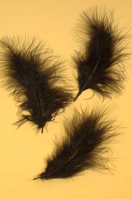 5" - 7" Ostrich Feather Black Pkg/50 - Image 2