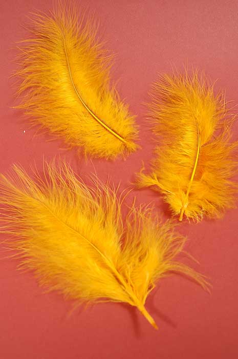 5" - 7" Ostrich Feather Gold Pkg/50 - Image 2