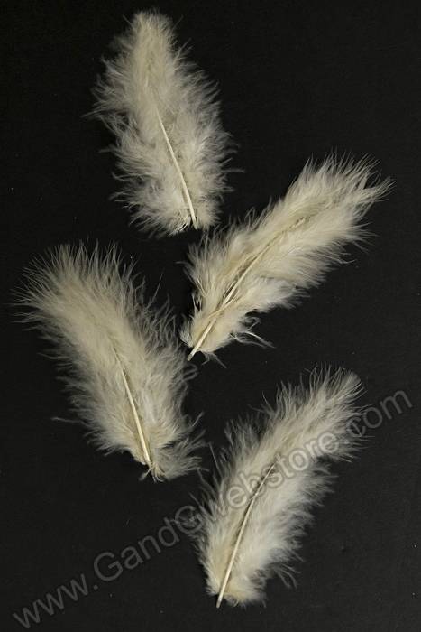 5" - 7" Ostrich Feather Ivory Pkg/50 - Image 2