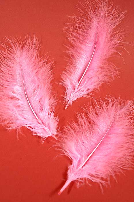5" - 7" Ostrich Feather Lt Pink Pkg/50 - Image 2