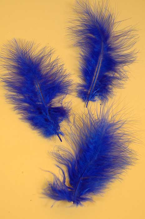 5" - 7" Ostrich Feather Royal Blue Pkg/50 - Image 2
