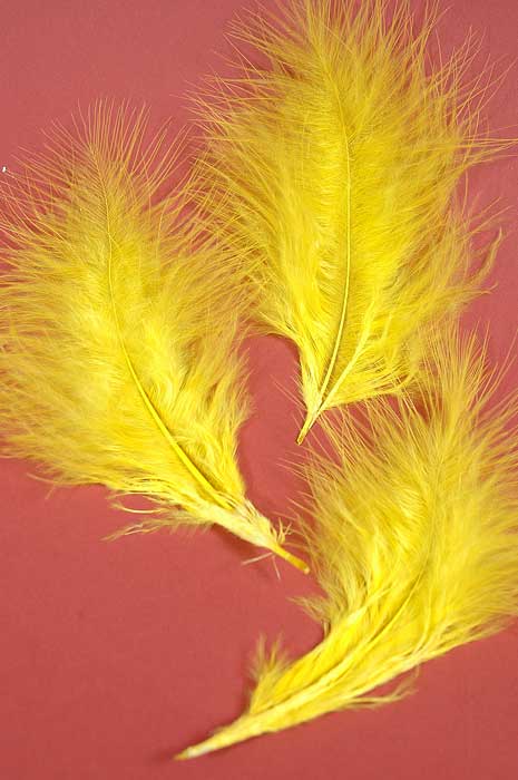 5" - 7" Ostrich Feather Yellow Pkg/50 - Image 2