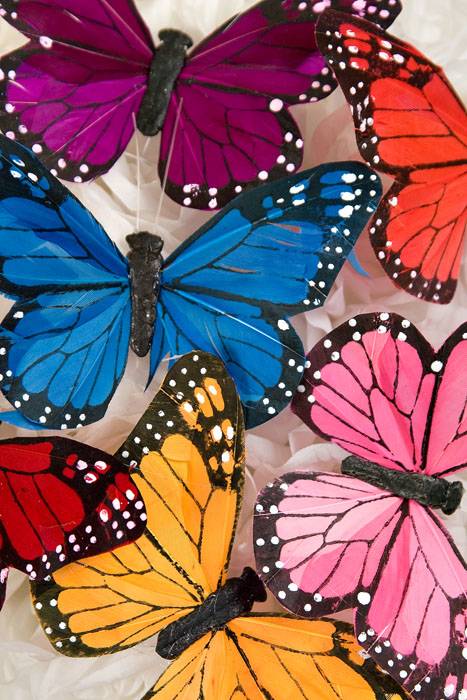 5" Butterfly Assorted Pkg/12