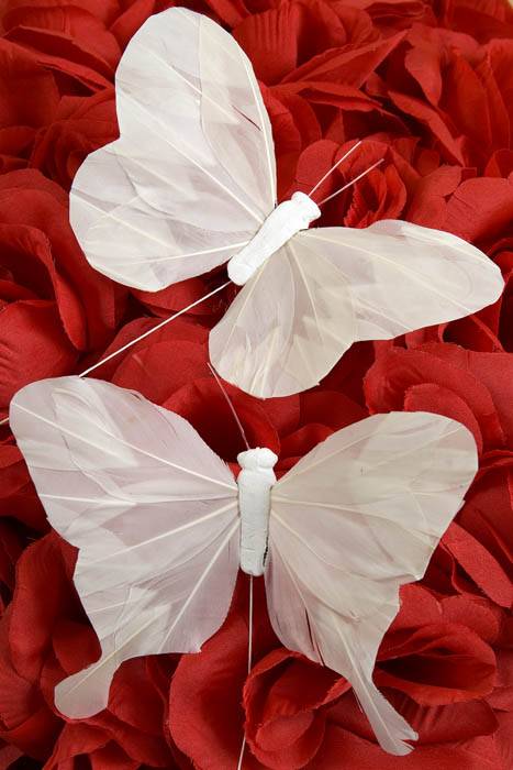 5'' Butterfly White Pkg/12