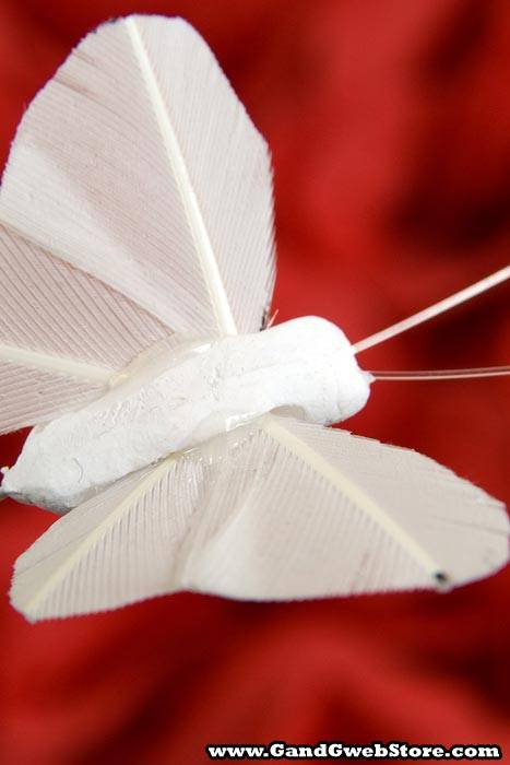 5'' Butterfly White Pkg/12 - Image 2