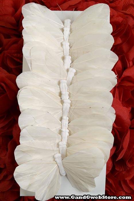 5'' Butterfly White Pkg/12 - Image 3