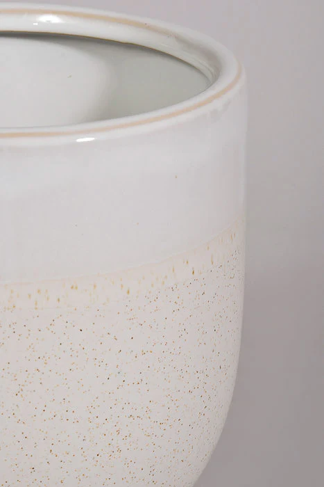 5" X 6.5" Laney Vase White - Image 2