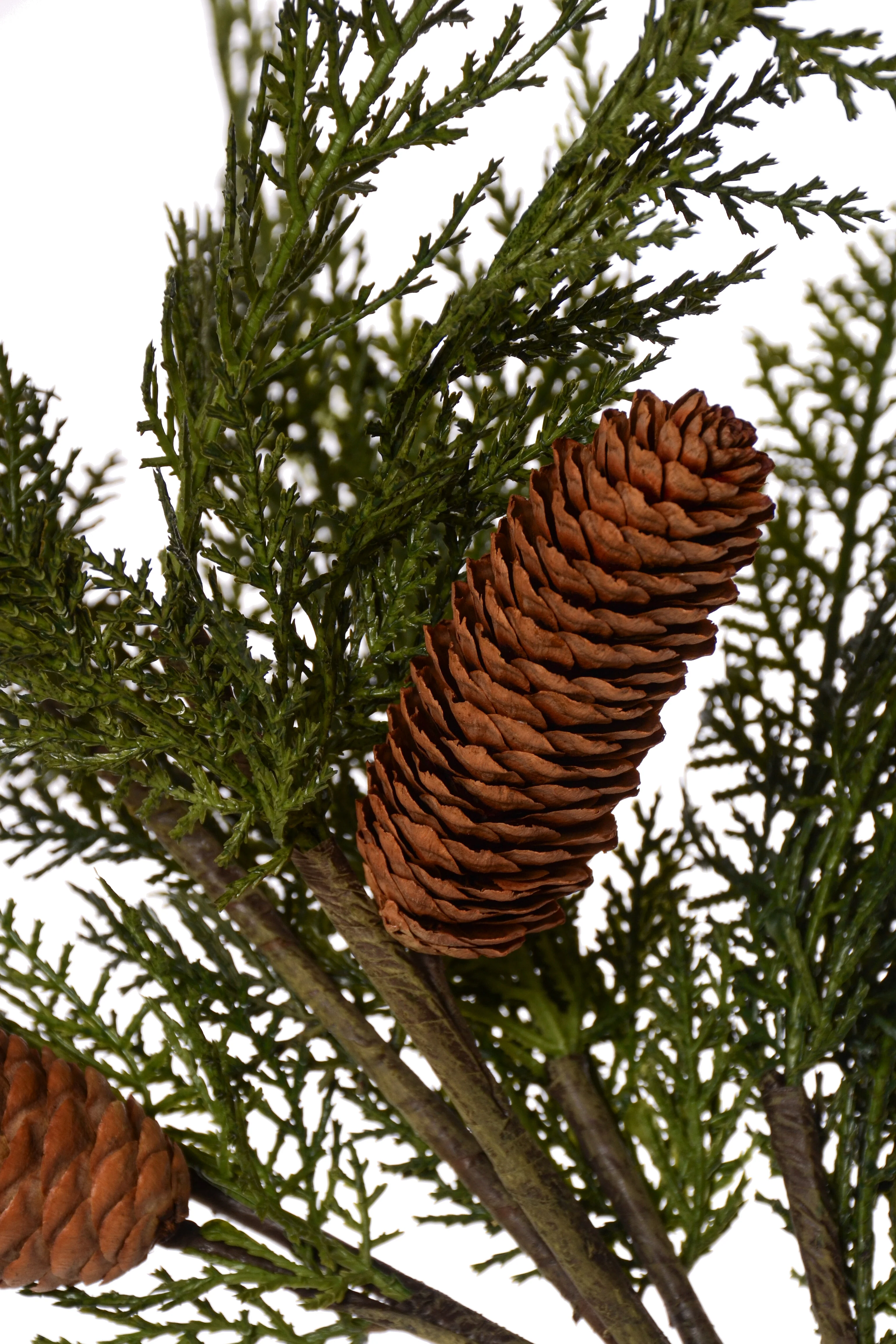 50" Cedar Spray With Pine Cone Green - Image 2