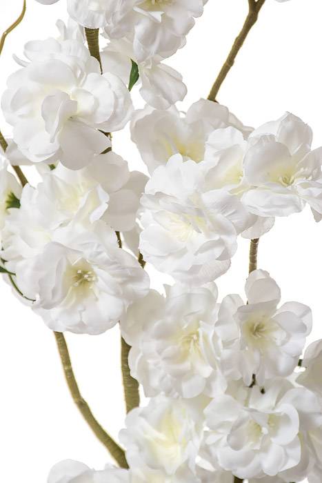 50" Silk Cherry Blossom Cream - Image 2
