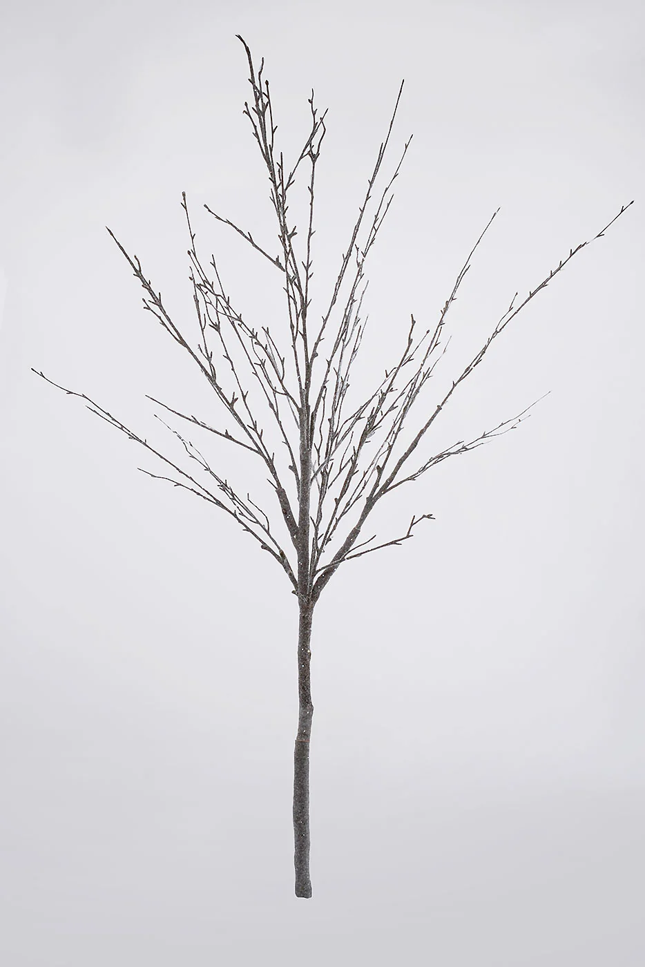 50'' Snowed Twig Branch White