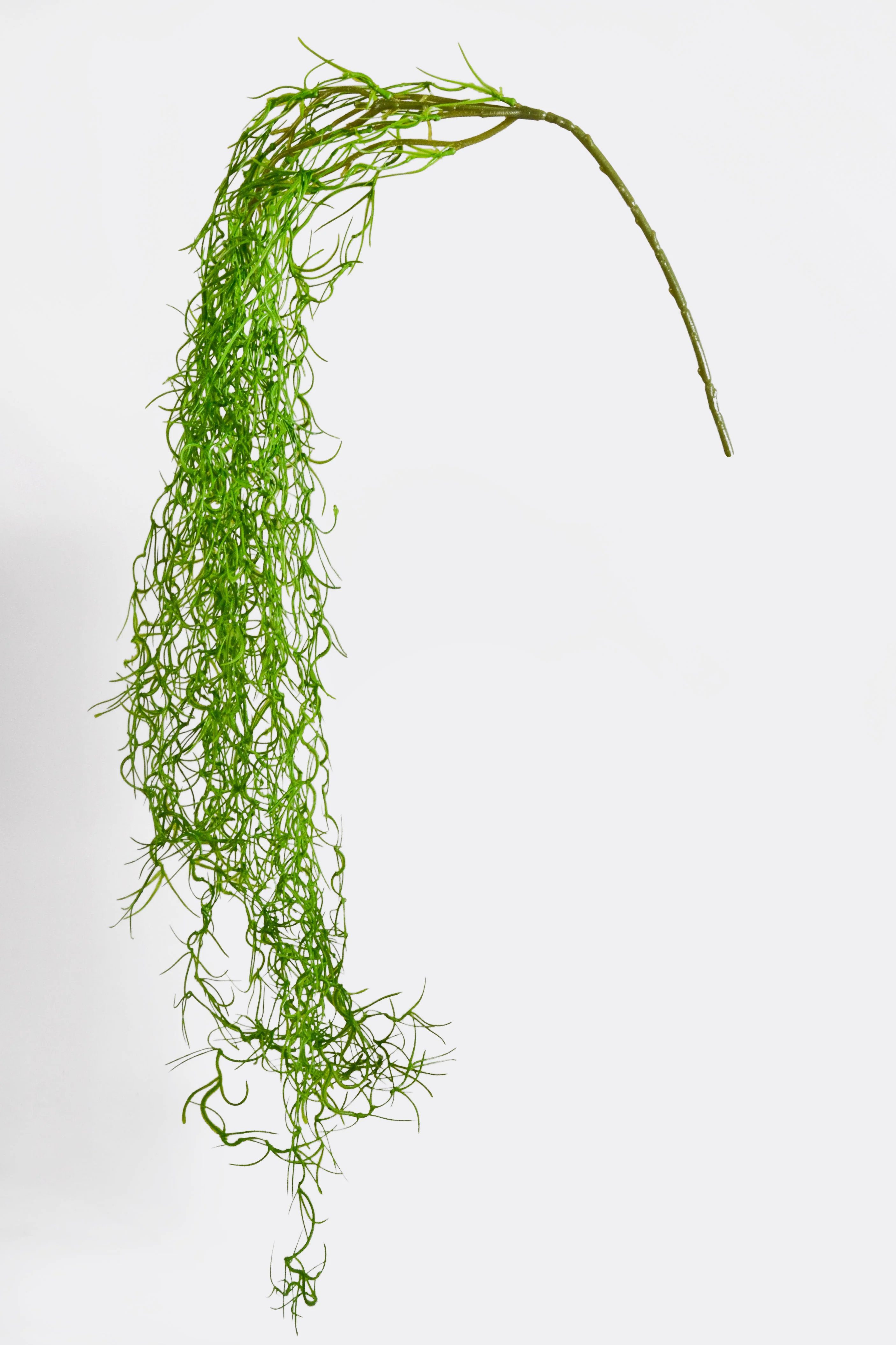 51" Moss Hanging Bush Green