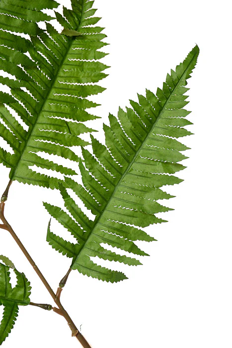 51" New York Fern Leaf Spray Green - Image 2