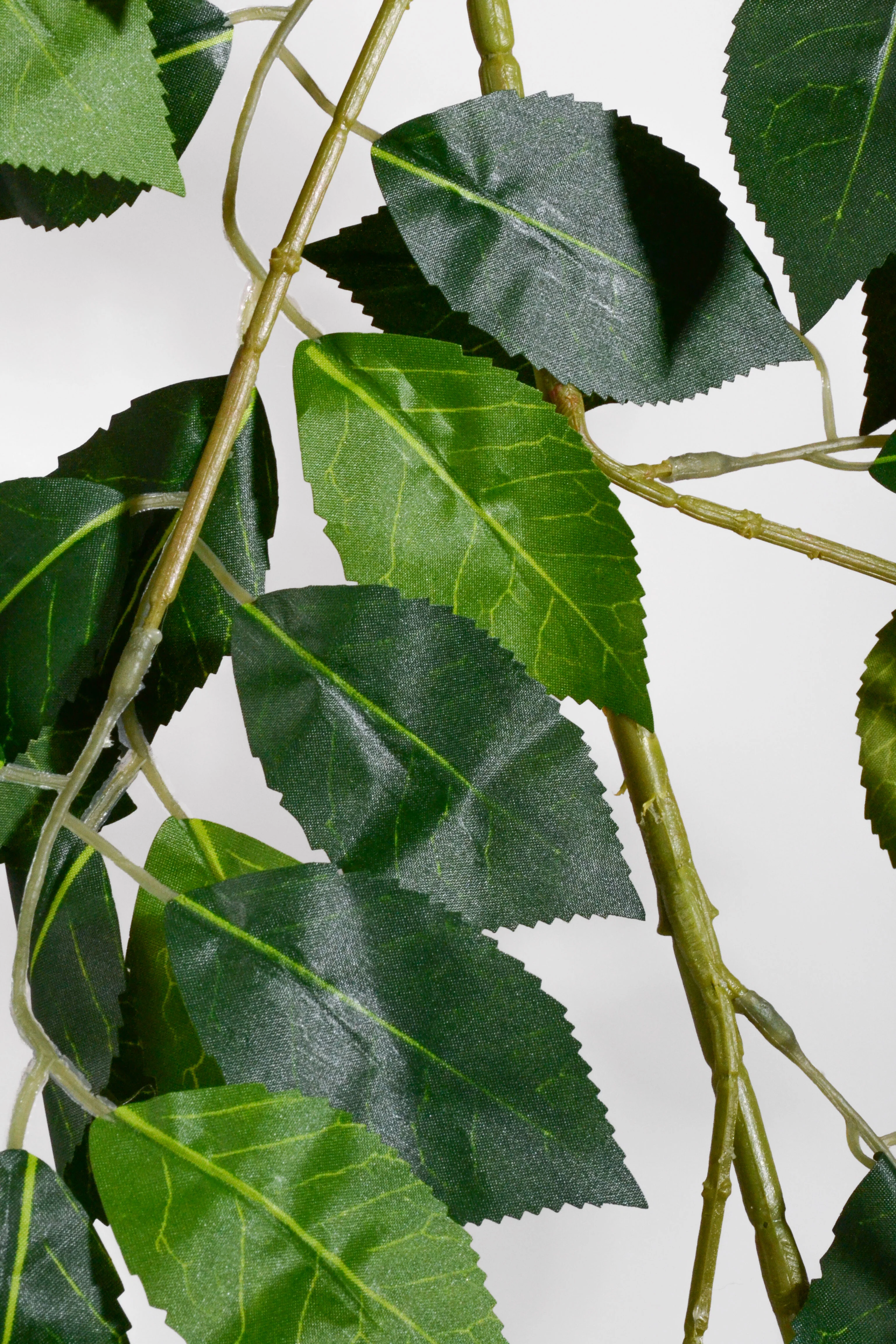 52" Hanging Camellia Leaf Bush Green - Image 2