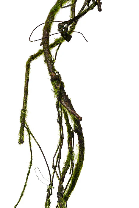 52" Moss Twig Garland Green - Image 2