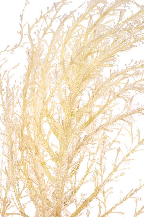 54" Reed Grass Spray Cream - Image 2