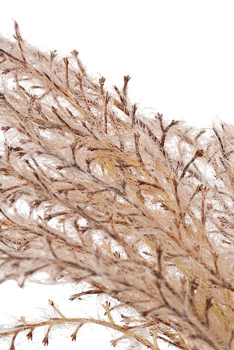 54" Reed Grass Spray Taupe - Image 2