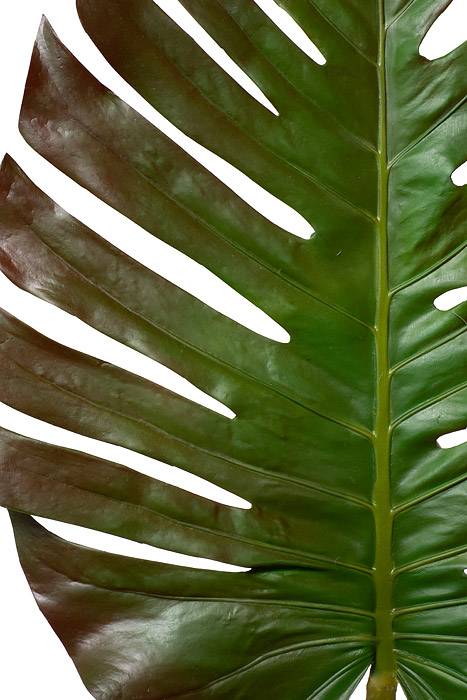 55" Monstera Leaf Spray Green / Brown - Image 2