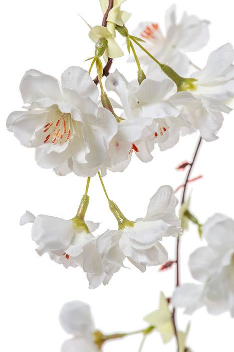 57" Silk Hanging Cherry Blossom White - Image 2