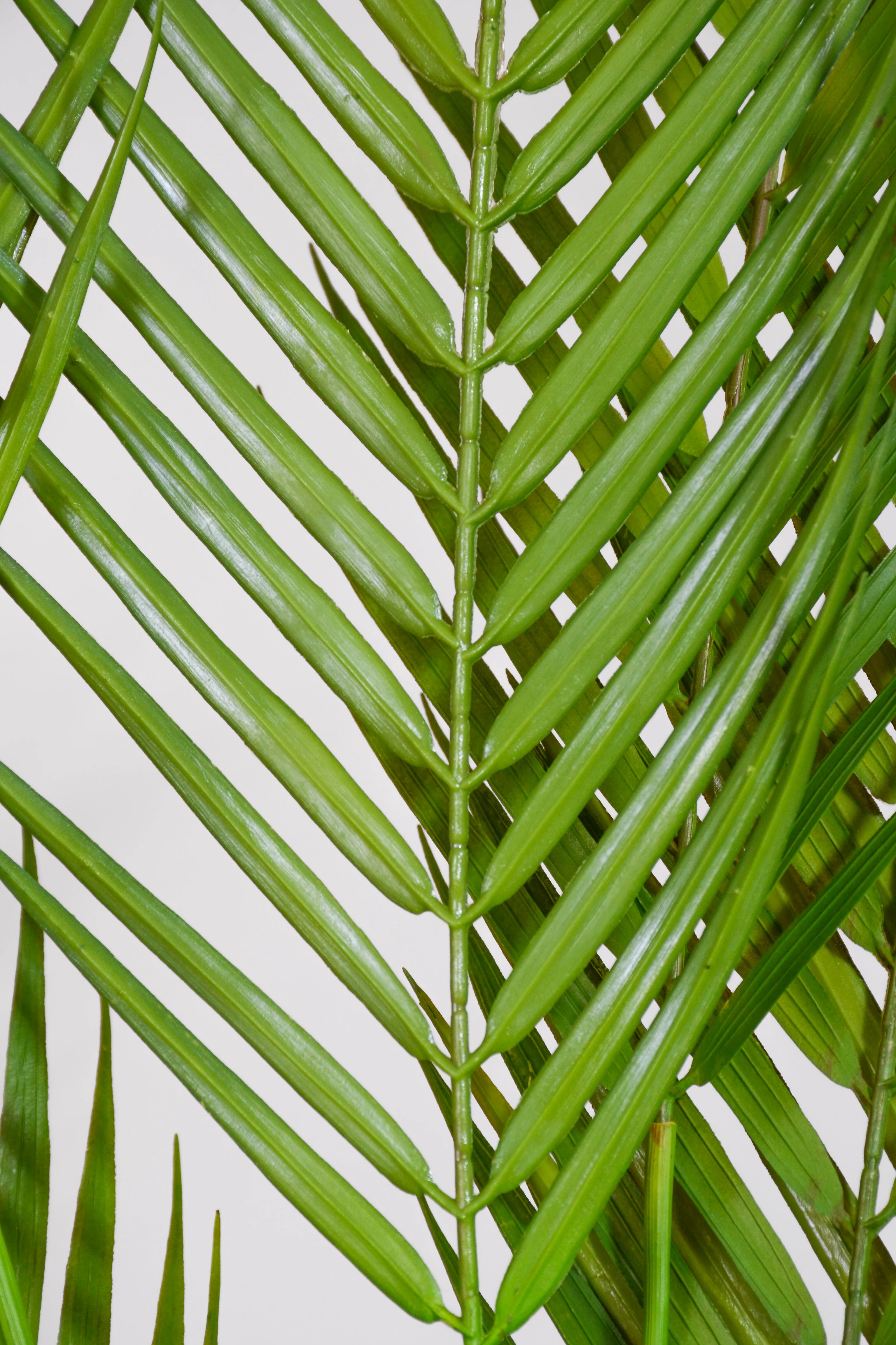58" Artificial Areca Palm Spray Green - Image 2