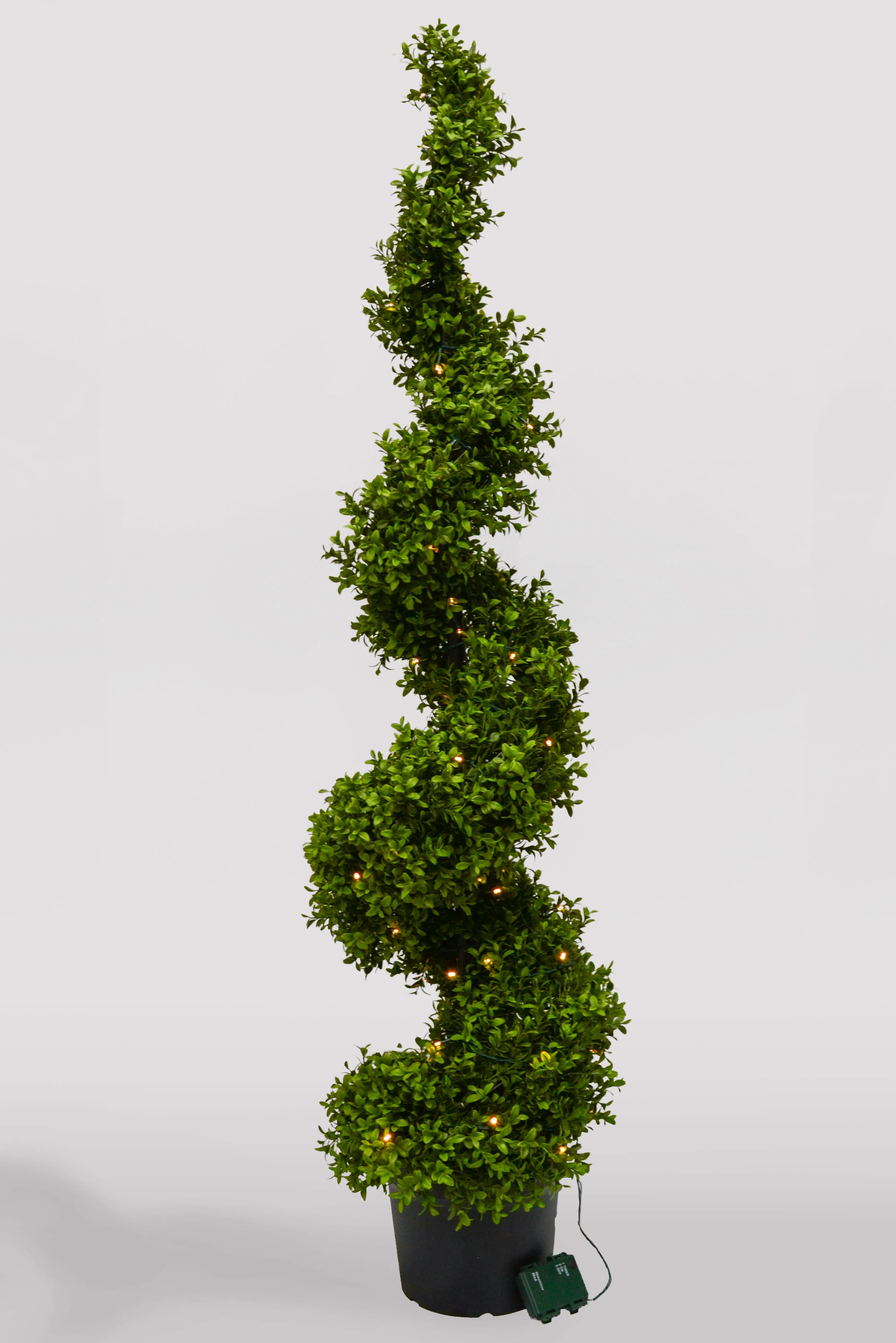 58"  Uv Boxwood Spiral W/Lights In Pot Green