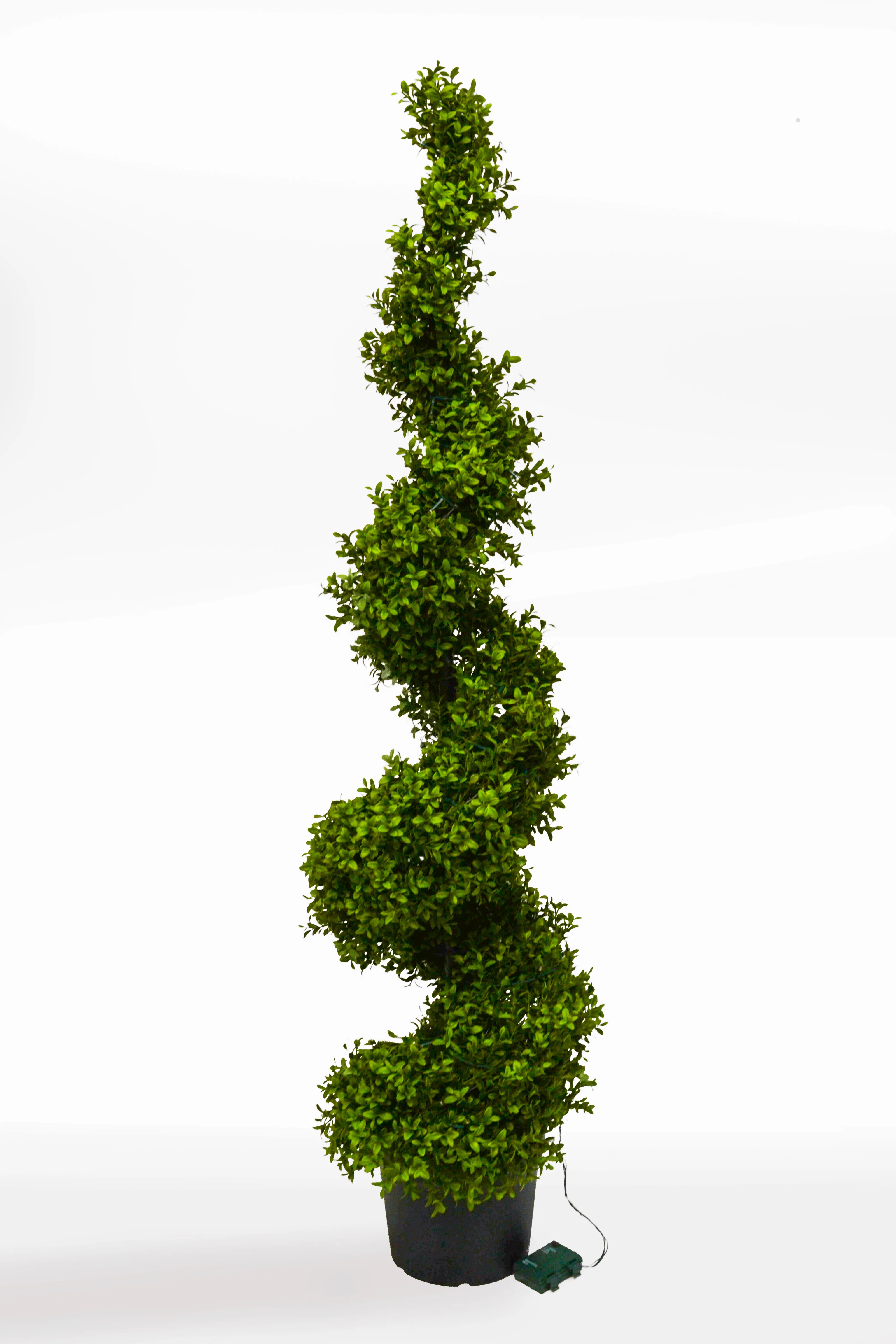 58"  Uv Boxwood Spiral W/Lights In Pot Green - Image 2