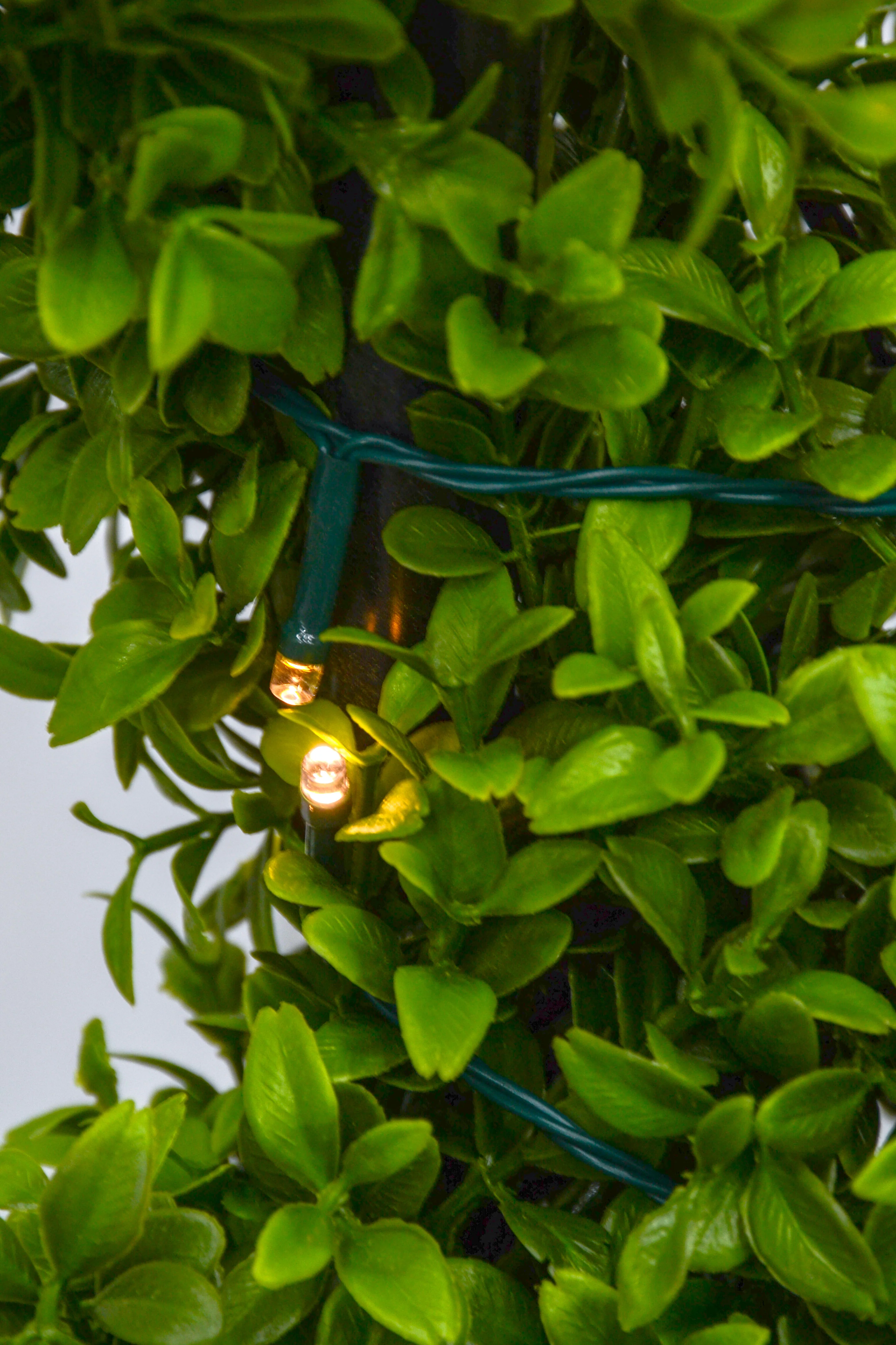 58"  Uv Boxwood Spiral W/Lights In Pot Green - Image 3