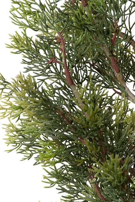 5ft Cedar Tree In Pot Green - Image 2