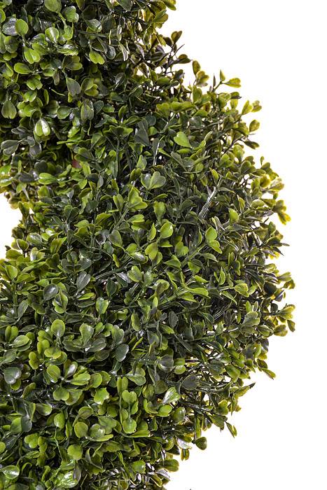 5Ft  Pond Boxwood Spiral Topiary in a Pot Green - Image 2