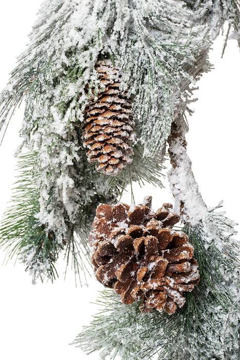5ft Snow Pine/cone Garland White/Green - Image 2