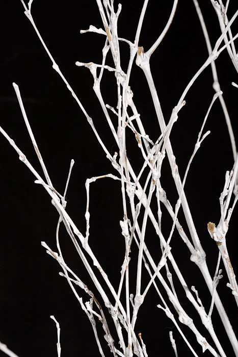 6.5" x 51" Birch Stand White - Image 2