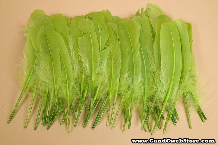 6"- 8" Goose Feather Apple Green Pkg/50 - Image 2