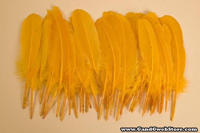 6"- 8" Goose Feather Gold Pkg/50 - Image 2
