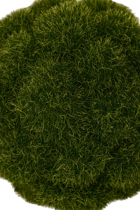 6" Mood Moss Ball Green - Image 2