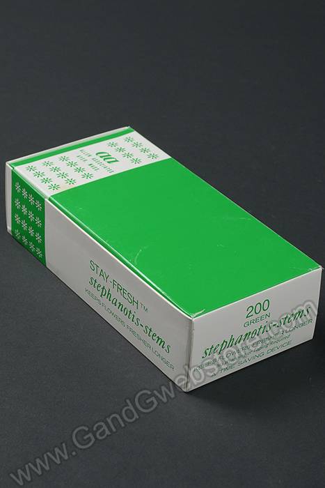 6" Stephanotis Stems Green Pkg/200 - Image 2