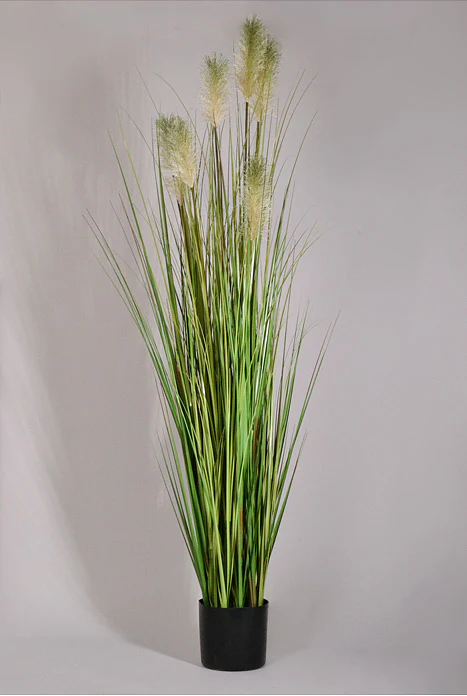 60" Artificial Pampas Grass In Pot Two Tone Green