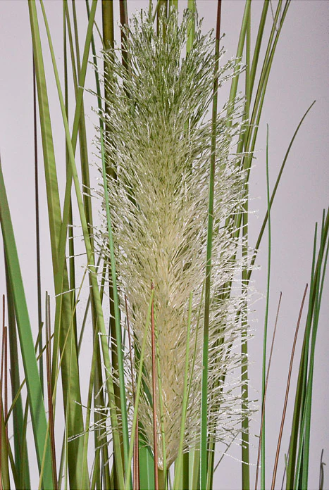 60" Artificial Pampas Grass In Pot Two Tone Green - Image 2