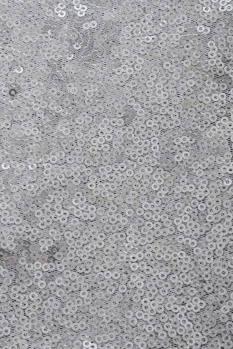 60" X 5yds Sequin Netting Silver - Image 2