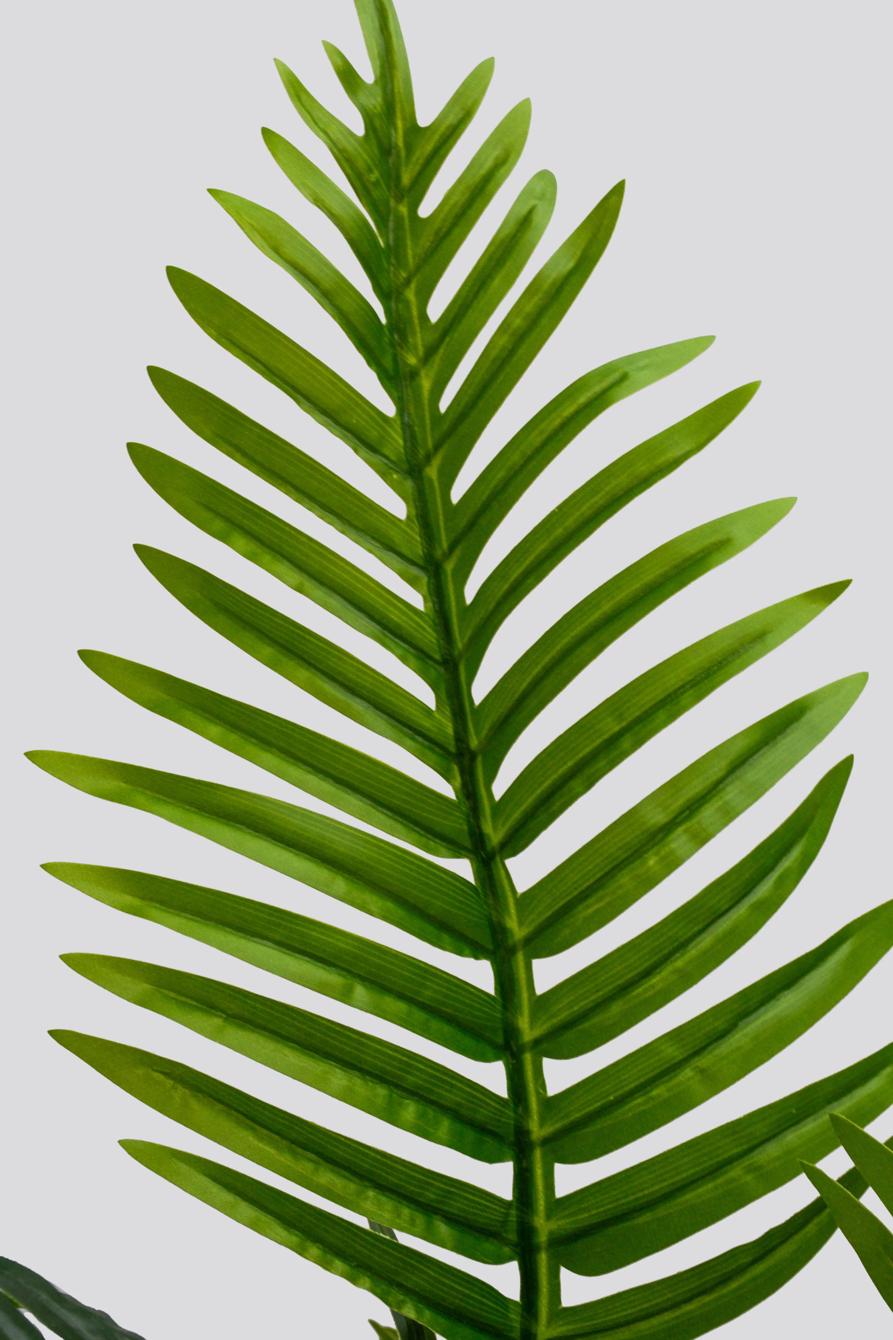 63" Artificial Areca Palm Tree In Pot Green - Image 2