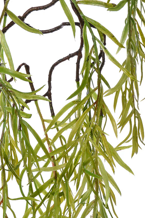63" Willow Branch Green - Image 2