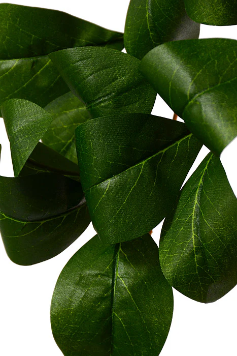 67.75" Artificial Peperomia Leaf Garland Green - Image 2
